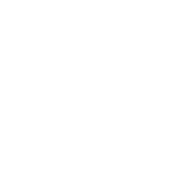 logo-white-asset